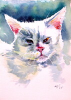 White cat - watercolor painting/Fehér macska - akvarell festmény