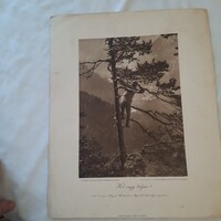 Érdekes Újság  4. sz. háborús albumában megjelent díjnyertes háborús felvétel IV.