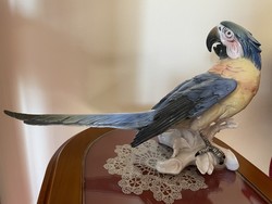 ENS Porcelain Parrot