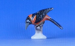 0D159 Herendi porcelán kismadár