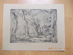 Varga Nándor Lajos: Erdei út