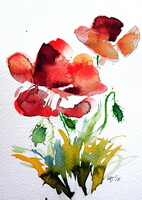 Little poppy - watercolor painting - Kis pipacs - akvarell festmény