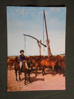Képeslap,Hortobágy,Csikósok,ménes,itató,gémeskút látkép,részlet, 1979-