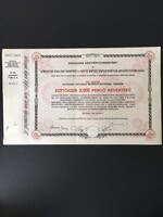 Kőbányai Polgári Serfőző és Szent István Tápszerművek Részvénytársaság Ideiglenes Részvény 1946.