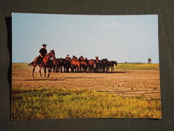 Képeslap,Hortobágy,Csikósok,ménes látkép,részlet, 1976-