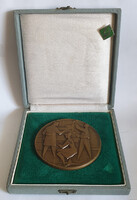 Tervezők, mérnökök - szocreál bronz plakett, dobozában, kitűzővel, jelzett, Vincze Dénes