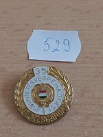 IM BÜNTETÉS VÉGREHAJTÁSI TÖRZSGÁRDA 35 ÉVES JELVÉNY 529.