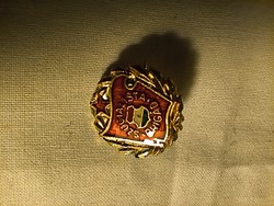Szocialista Brigád jelvény