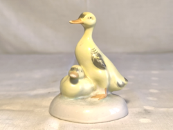 Aquincum kiskacsa páros