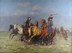 1T476 Viski János : Csikós