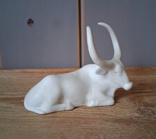 Watusi bika - Schaubach Kunst