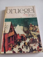Bruegel francia képzőművészeti könyv