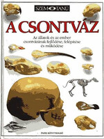 A csontváz (Szemtanú) - Steve Parker