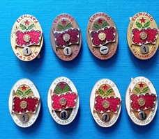 4 Élenjáró és 4 kiváló katonai jelvény