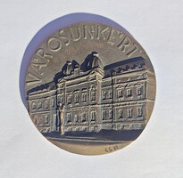Csíkszentmihályi Róbert, Városunkért 1973 bronz plakett