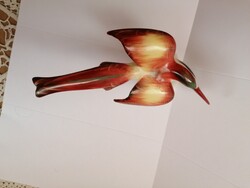 Aquincumi ritka, gyönyörűen festett jégmadár