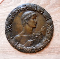 Bronz plakett