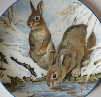 Wedgwood nyuszis dísztányér