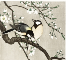 75*40 cm Cinegék cseresznyefa ágon, ázsiai, japán alkotás reprodukciója, vintage poszter, plakát
