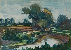 Hegyi György (1922-2001) : Patakpart