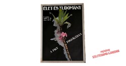 1994 február 18    /  Élet és Tudomány  /  Szülinapra újság!? Ssz.:  38343