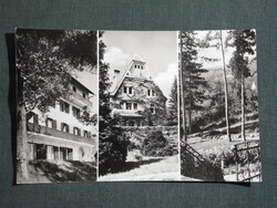 Képeslap,Leányfalu,mozaik,SZOT üdülő,szálló látkép,részlet,1963-