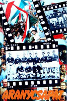 Aranycsapat (A film születése, és ami a filmből kimaradt...) - Surányi András-Hernádi Miklós