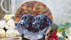 John Silver labradoros  falitányér