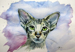 Siamese oriental cat - watercolor painting/ Sziámi macska -   akvarell festmény