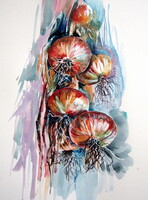 Onion - watercolor painting/ Hagyma -   akvarell festmény