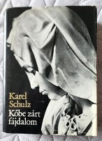 KAREL SCHULTZ : KŐBE ZÁRT FÁJDALOM MICHELANGELO BUONAROTTI ÉLETE 1976
