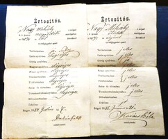 2 db. szülői értesítés (Győr-sziget, 1884-85, Nagy Mihály megtáltosodott)