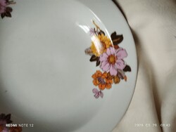 Dālias Alföldi tányér leveses