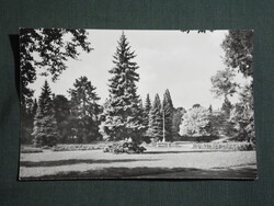 Képeslap,Miskolctapolca fürdő,barlangfürdő,sétány,park látkép,részlet, 1969-