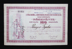 Téglagyár és Kereskedelmi Részvénytársaság részvény 100 korona 1906 - Nagykőrös