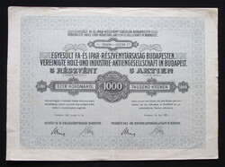 Egyesült Fa- és Ipar Részvénytársaság részvény 5x1000 korona 1923