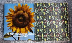 Plantes Médicinales en Hongrie.(Gyógyító növények Magyarországon) Dr Edit Pethes.