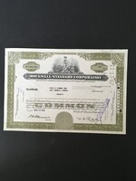 Amerika Rockwell Manufacturing Company Részvényigazolás 1966.