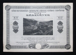 Gödemesterháza Uradalmi és Grassl György Erdőipar részvény 100x20 pengő 1942 Palotailva (ROU)