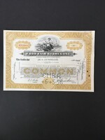 Amerikai Élelmiszerüzletek Részvényigazolás 1956.