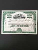 Amerika Seatrain Lines Részvénytársaság 1959.