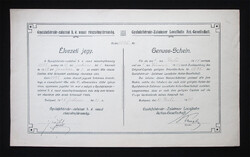 Gyulafehérvár-Zalatnai Helyi Érdekű Vasút élvezeti jegy 1918 (ROU)