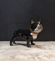 Életnagyságú francia bulldog kerámia szobor
