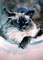 Himalayan cat II - watercolor painting/ Himalájai macska II-   akvarell festmény