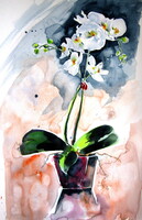 Orchid still life- watercolor painting - Orchidea csendélet - akvarell festmény