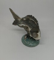 Drasche porcelán hal "Ritka festéssel"!