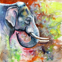 Beautiful elephant - watercolor painting/ Gyönyörű elefánt -   akvarell festmény