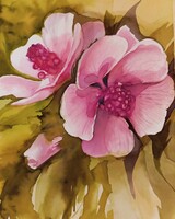 Csobai Elena, watercolor painting, Mallow flower