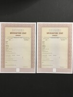 Első Danubius Közraktározási és Kereskedelmi Zrt. 2 db Közraktárjegy
