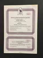 Táncsics Bőrgyár Rt. Részvény 1989.